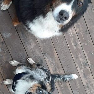 Meet your Posher, Melanie